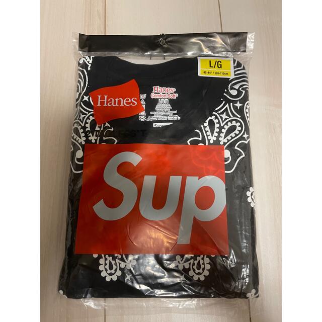 Supreme x Hanes ペイズリー バンダナ　Tシャツ