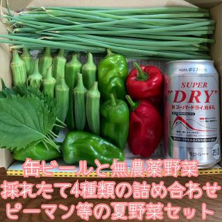 缶ビールと無農薬野菜＊採れたて4種類の詰め合わせ＊夏野菜セット＊コンパクト＊(野菜)