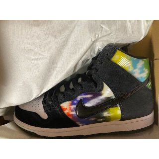 ナイキ(NIKE)のNIKE DUNK TEST PATTERN 28cm(スニーカー)