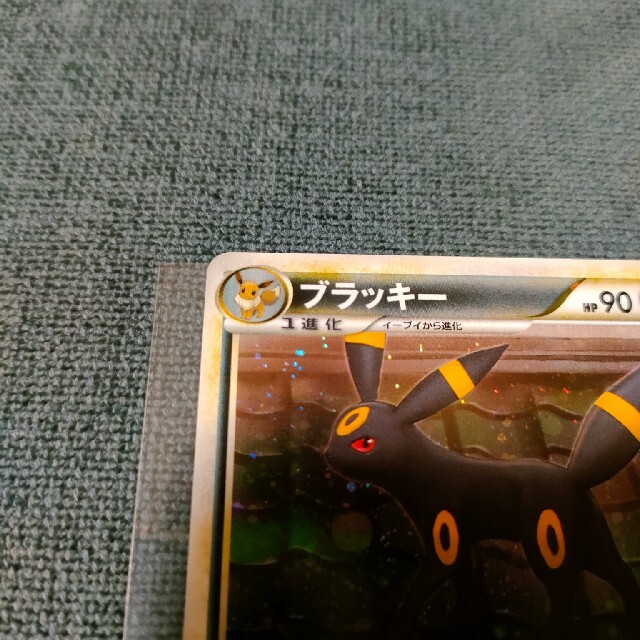 カピバラ先生様専用商品-