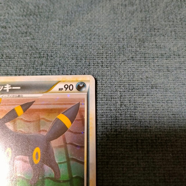 カピバラ先生様専用商品-