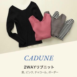 マイストラーダ(Mystrada)の【新品未使用】CADUNEノベルティ2WAYリブニット(ニット/セーター)