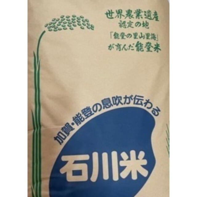 新米　10kg　米/穀物　コシヒカリ　石川能登米