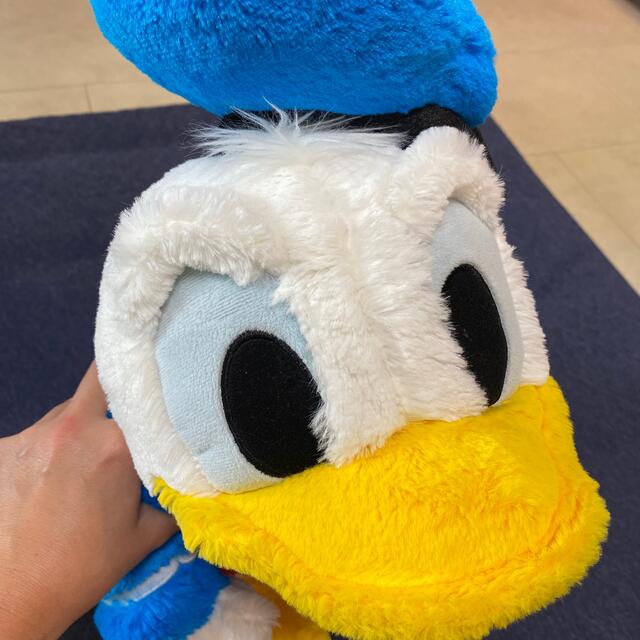 Disney - ディズニーランド ディズニー ドナルドダック Disney - ディズニーランド ディズニー ドナルドダック