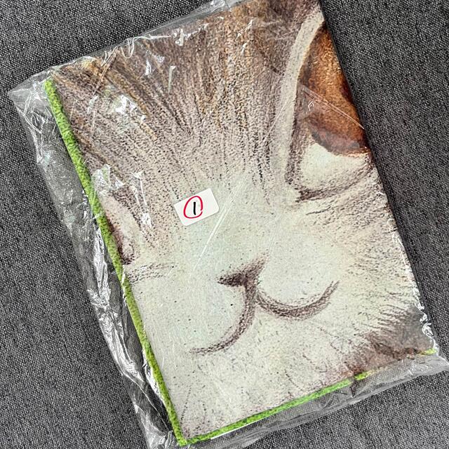 非売品　未開封わちふぃーるど　森のささやき/のぼり