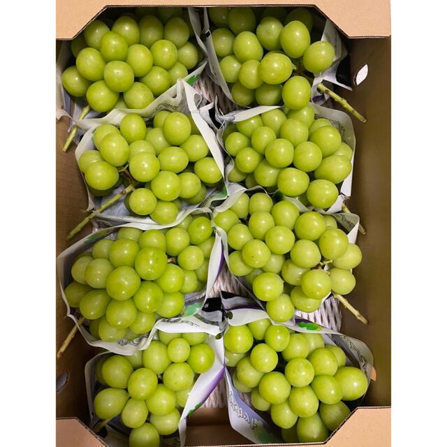 シャインマスカット 5kg 8房 特秀品 【上品】 4800円引き