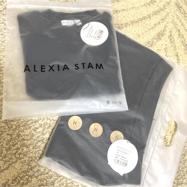 ALEXIA STAM(アリシアスタン)のALEXIA STAM アリシアスタンTシャツ＆パンツ新品二点セット レディースのトップス(Tシャツ(半袖/袖なし))の商品写真