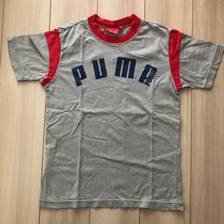プーマ(PUMA)の子供服　Tシャツ(Tシャツ/カットソー)