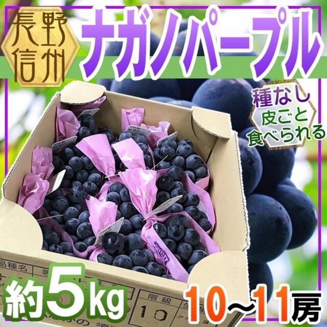 かにや様専用★ナガノパープル10〜11房約5kg シャインマスカット600g2房 食品/飲料/酒の食品(フルーツ)の商品写真