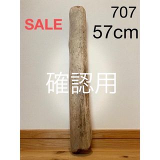 SALE❣️流木【707】(各種パーツ)