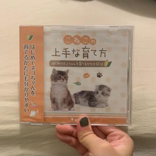 こねこの上手な育て方　DVD(猫)