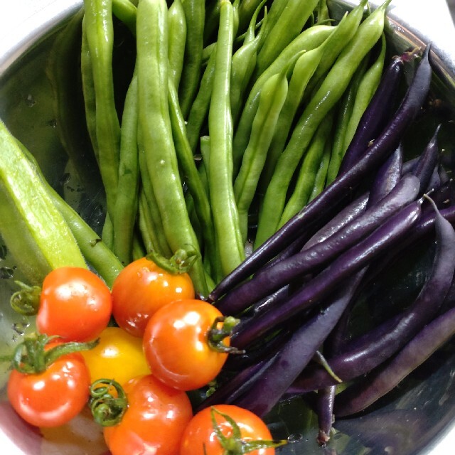 野菜詰め合わせセット　無農薬栽培 食品/飲料/酒の食品(野菜)の商品写真