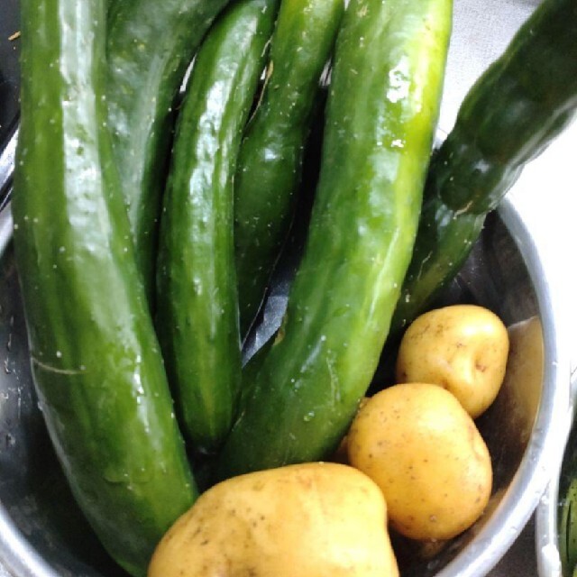 野菜詰め合わせセット　無農薬栽培 食品/飲料/酒の食品(野菜)の商品写真