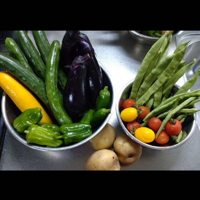 野菜詰め合わせセット　無農薬栽培 食品/飲料/酒の食品(野菜)の商品写真