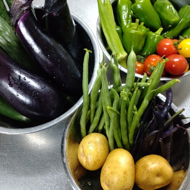 野菜詰め合わせセット　無農薬栽培 食品/飲料/酒の食品(野菜)の商品写真