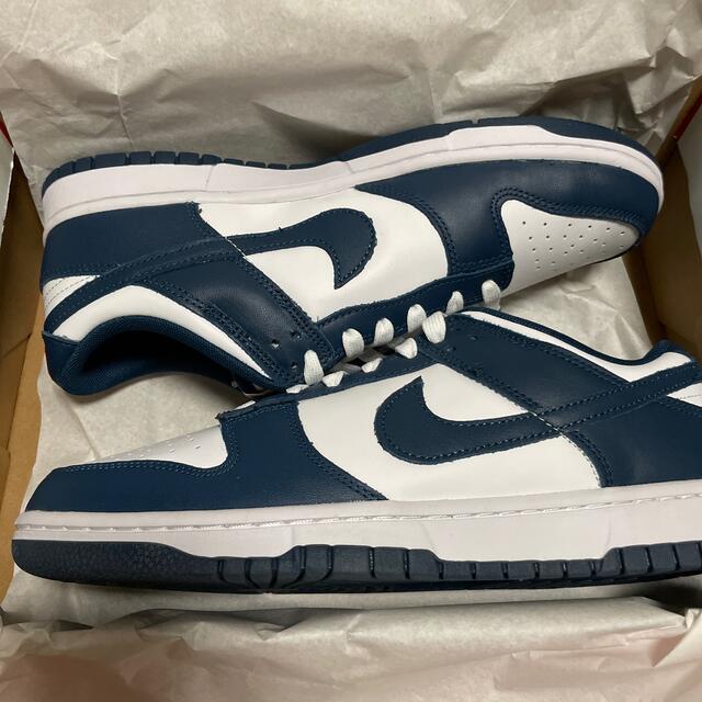 NIKE DUNK LOW ダンクロー　バレリアンブルー