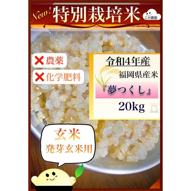 特別栽培米　福岡県産米『夢つくし』令和４年産　玄米20kg  発芽玄米におすすめ健康