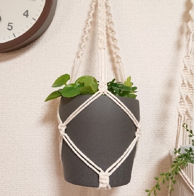 ハンギングロープ 3点 No.79 観葉植物 プラントハンガー chateauduroi.co