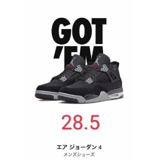 Air Jordan 4 SE "Black and Light Steel"(スニーカー)