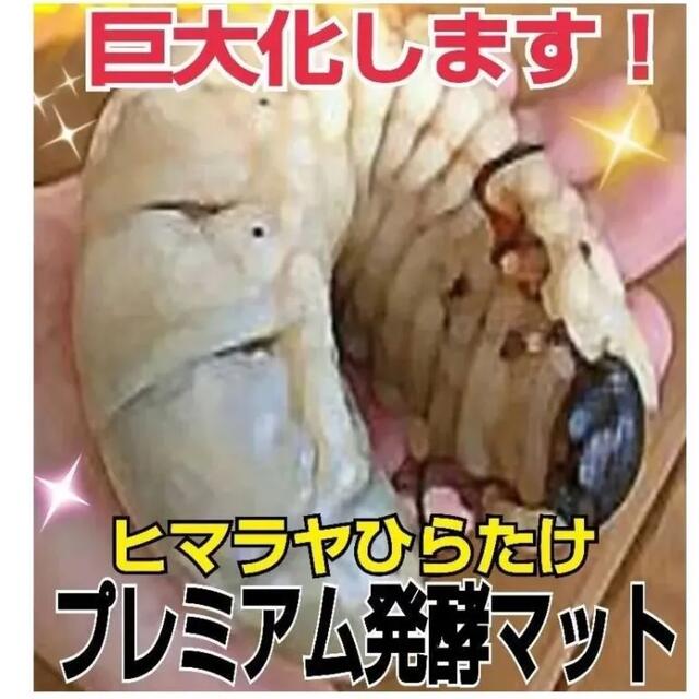 【3セット】10リットルケース入☆プレミアム発酵カブトムシマット☆幼虫入れるだけ 3