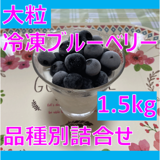 極上冷凍ブルーベリー　1.5ｋｇ　冷凍で栄養価も高いスーパー美容フルーツです！(フルーツ)
