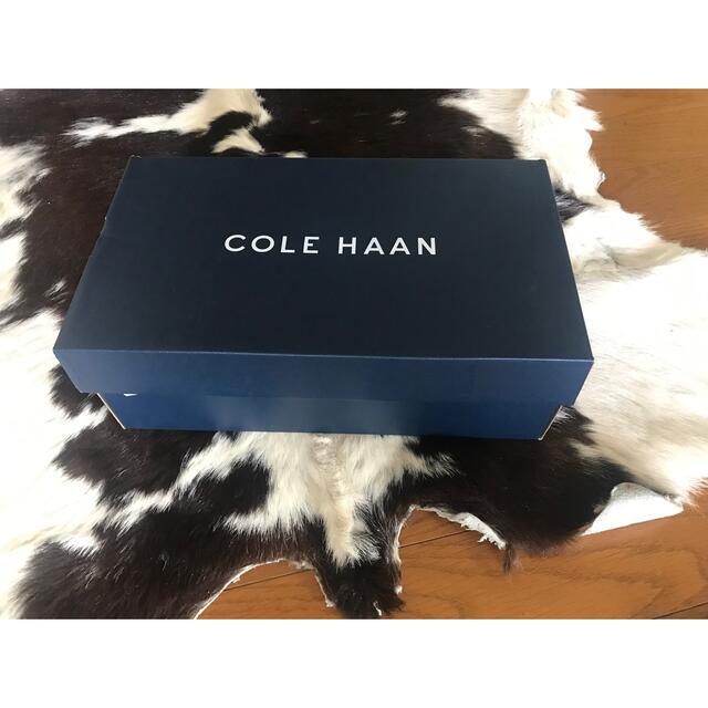 Cole Haan(コールハーン)のコールハーン　蛇　スネイク　パイソン　スニーカー　29700円 レディースの靴/シューズ(スニーカー)の商品写真