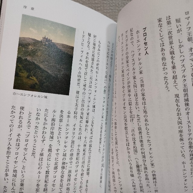 光文社(コウブンシャ)の『 名画で読み解く プロイセン王家12の物語 』★ 中野京子 / 激動 217年 エンタメ/ホビーの本(アート/エンタメ)の商品写真