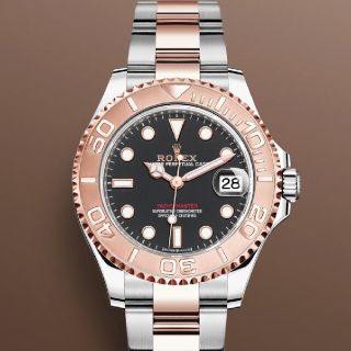 ロレックス(ROLEX)の専用②ヨット37(腕時計(アナログ))