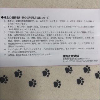 10枚 カンセキ 最新 期限2023.5.31 株主優待券WILD- ネット正規店 www