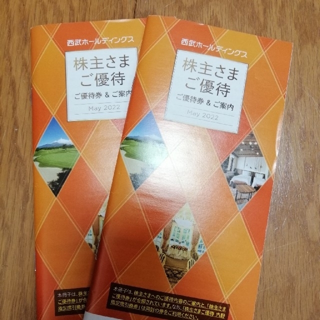 西武ホールディングス株主優待 共通割引券含む 2冊 - その他