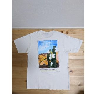 ステューシー(STUSSY)の美品　stussy　半袖Tシャツ(Tシャツ/カットソー(半袖/袖なし))