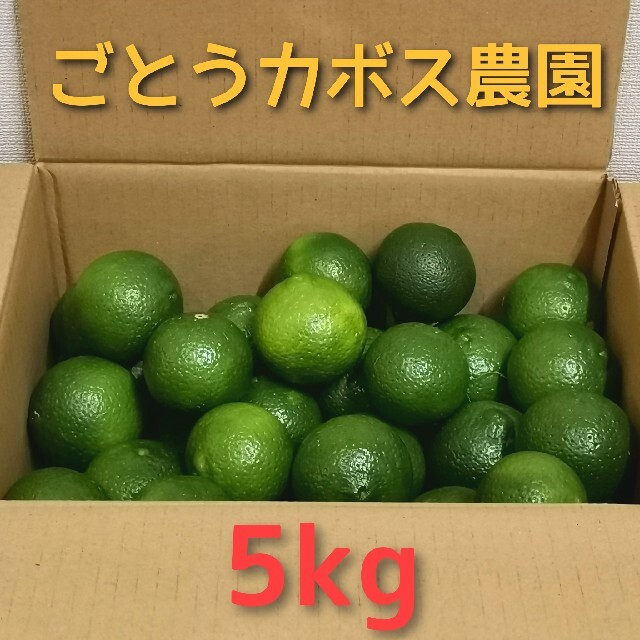 きれいなカボス》大分産 農薬なし 5kg 送料込 日時指定可能の通販 by きりまる｜ラクマ