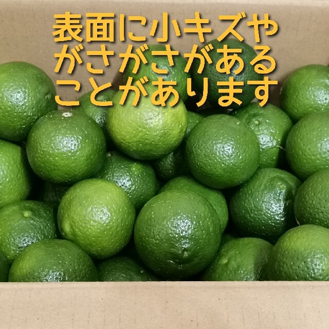 きれいなカボス》大分産 農薬なし 5kg 送料込 日時指定可能の通販 by きりまる｜ラクマ