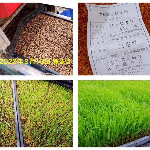 減農薬米 令和4年新米 三重県産コシヒカリ 玄米20キロ 10kg×2袋 ③ ...