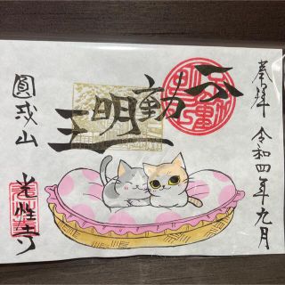 光性寺　特別限定御朱印　猫ちゃん御朱印(印刷物)