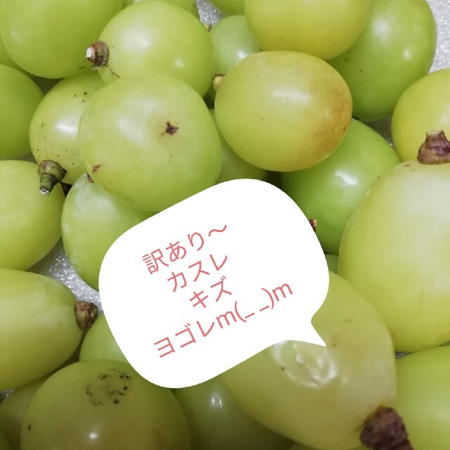 2.3k◇訳あり粒 クイーンニーナ 山梨県 シャインマスカットおまけの