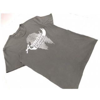 アルマーニエクスチェンジ(ARMANI EXCHANGE)のアルマーニエクスチェンジ/半袖Tシャツ グレー/M(Tシャツ/カットソー(半袖/袖なし))