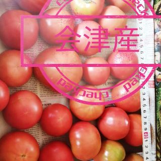 8キロ　高原トマト　南会津産　桃太郎(野菜)