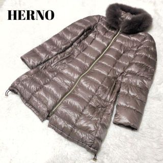 ヘルノ ダウンコート(レディース)(ピンク/桃色系)の通販 9点 | HERNO