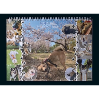 雑種犬カレンダー2023（3冊分）(カレンダー/スケジュール)