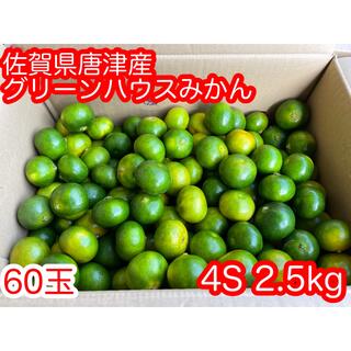 佐賀県唐津産グリーンハウスみかん4S 2.5kg(フルーツ)