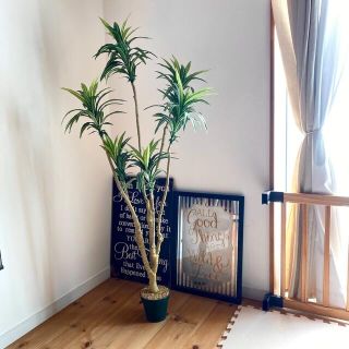 ニトリ ニトリ プランター ハンギングロープ ハンガーの通販 ラクマ