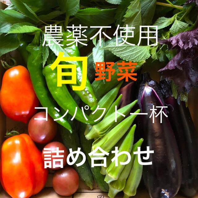 農薬：栽培期間中不使用 ♪旬野菜　詰め合わせ♪コンパクト　採りたて 食品/飲料/酒の食品(野菜)の商品写真