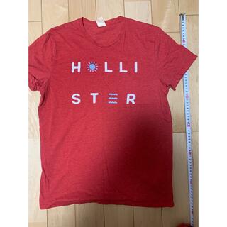 ホリスター(Hollister)のHollister 半袖　Tシャツ　(Tシャツ/カットソー(七分/長袖))