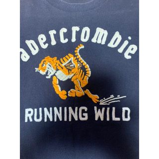 アバクロンビーアンドフィッチ(Abercrombie&Fitch)のTシャツ米国製　160cm前後　痩せ型着用(Tシャツ/カットソー)