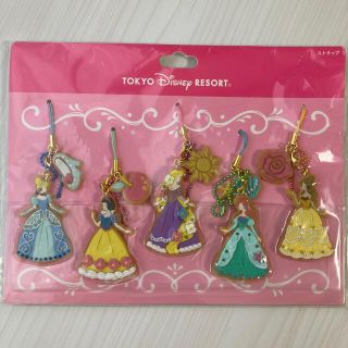 ディズニー(Disney)の新品　ディズニープリンセス　アイシングクッキー　キーホルダー(キーホルダー)