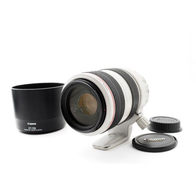 Canon キャノン EF 70-300mm F4-5.6 L IS USM-