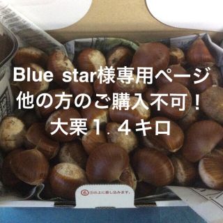 Blue star様専用ページになります！大栗1.４キロ(フルーツ)