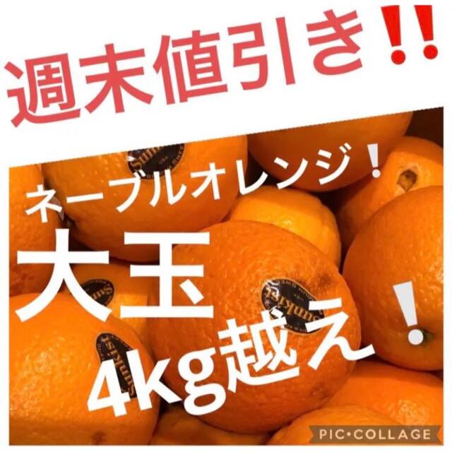 ネーブルオレンジ　大玉4kg越え 食品/飲料/酒の食品(フルーツ)の商品写真