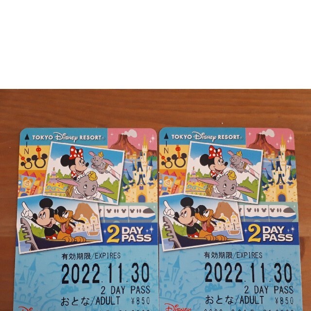 Disney(ディズニー)のディズニー　リゾートライン　往復チケット　2DAY PASS 2枚 チケットの施設利用券(遊園地/テーマパーク)の商品写真